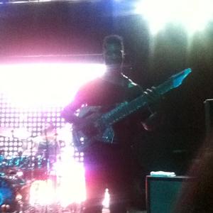 Animals as Leaders